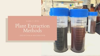 Plant Extraction Methods  Decoction and Maceration  JPTV [upl. by Aneelad]