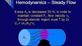 Hemodynamics Bonus Lecture preDoppler [upl. by Naryb757]