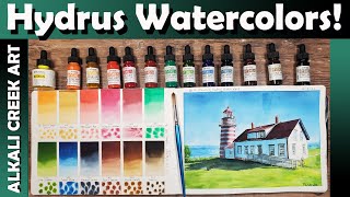 Using Dr Ph Martins HYDRUS WATERCOLORS [upl. by Ynoep209]