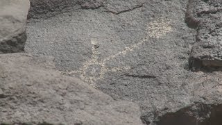 Petroglyphs Monument rule enforcement to increase [upl. by Avra]