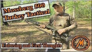 Mossberg 500 Tactical Turkey Unboxed Fired and Reviewed [upl. by Juakn]