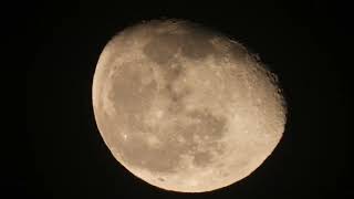 Moon 88 illuminated in Waning Gibbous  Monday January 29 2024 [upl. by Cand]