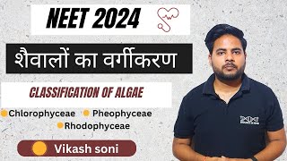 Algae Classification  Class 11 Biology  शैवालों का वर्गीकरण  कक्षा 11 जीवविज्ञान NEET 2024 [upl. by Amaerd260]