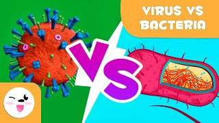 Viruses Vs Bacteria  What are their differences [upl. by Enasus]