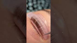 Get ready to flutter those fabulous lashes lashgoals lashliftandtint lashtransformation [upl. by Ume]