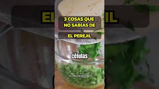 3 RAZONES PARA INCLUIR PEREJIL FRESCO EN TU DIETA alimentossaludables perejil alimentosaludable [upl. by Arnold]