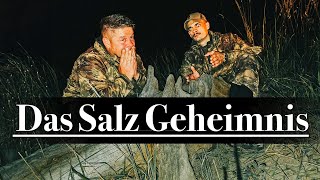 Jagd Tipps  Wir lüften das Geheimnis des Salzes Salzlecke Wild anlegen waldvierteljagd [upl. by Ainatit]