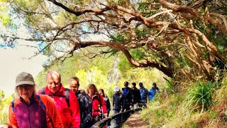 Madeira Levada walks Rabaçal Risco 25 Fontes with Madeira Adventure Kingdom [upl. by Eetnahc]