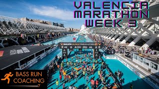 Valencia Marathon  Week 3  20mile Long run [upl. by Aneehsyt]