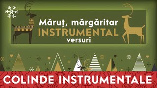 Măruț mărgăritar ❄️ INSTRUMENTAL Original karaoke [upl. by Ann]