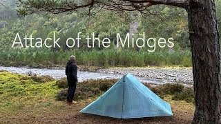 Attack of the Midges  Wild Camping in Scotland [upl. by Ennadroj875]