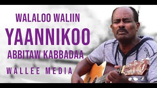 Abitew Kebede  Yaannikoo  Oromo Music Lyrics HD [upl. by Ajnek343]