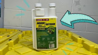 CompareNSave Concentrate Indoor and Outdoor Insect Control  1 Minute Review [upl. by Charpentier]