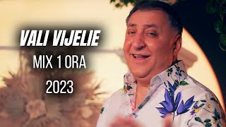 VALI VIJELIE 🏅💛 Cele Mai Bune Melodii ❤️ MIX 1 ORA HITURI NOI 💯 MANELE 2023 [upl. by Nellda395]