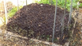 Our FallWinter Compost Pile Ensuring A Steady Supply Of Free Compost [upl. by Jemmy]