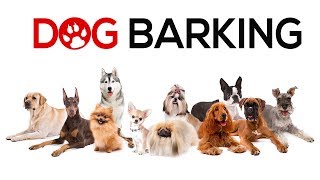 Dogs Barking Sounds To Make Your Dog REACT  34 Breeds Including Yours [upl. by Aikrahs648]