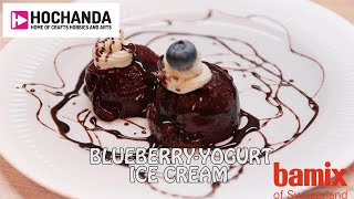 How to Make Blueberry Ice cream with bamix® and Hochanda [upl. by Mariellen424]