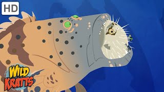 Creature Battles  Every Creature Showdown Part 12 Wild Kratts [upl. by Manfred]