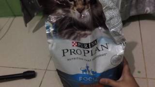 review makanan kucing pro plan kitten 318 kg [upl. by Anah]