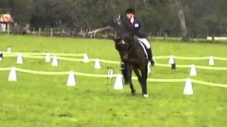 Stallion Luda Lacroix Dressage Highlights at Avenel HT Sept 2010 [upl. by Nwahsir]