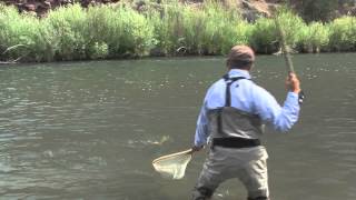 Dry Fly Fishing on a Cuthroat Leader [upl. by Ineslta745]