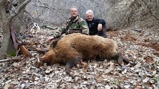 2012 WILD BOAR SANGLIER ATTILA HUNTING Chasse IN TAJIKISTAN by SELADANG [upl. by Weismann]