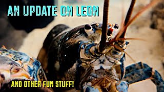 An Update On Leon [upl. by Vaclav]