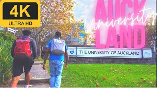 University of Auckland Walk  City Campus Tour  4K [upl. by Jaquiss438]