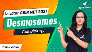 CSIR NET Master Series  Cell Biology  Desmosomes  Cell Junction  Gap Junction  Gradeup [upl. by Imuya65]