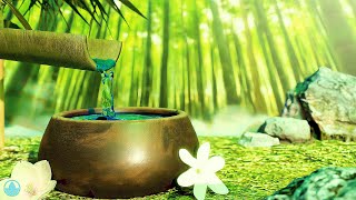 12 Hours Serene Bamboo Fountain Sounds and Relaxing Music for Stress Relief [upl. by Yenaiv906]