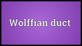 Wolffian duct Meaning [upl. by Aynotahs]