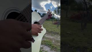 Arreando la mula  Requinto guitarra requinto [upl. by Proctor]