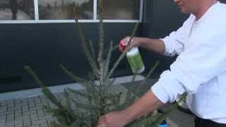 AlfaSTOP kerstboom impregneer voor particulier gebruik instructie  tutorial [upl. by Nevad]