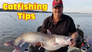 Tips for catching blue catfish in a lake Use this Multi Rig Technique to Catch Big Catfish [upl. by Adien]