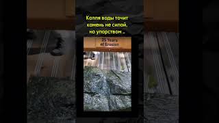 Преграды в твоей голове Упорство и фокусировка приведут тебя к цели [upl. by Risan]