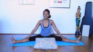 Spiritually Fly yoga sequence seated hip openers  Yoga with Faith Hunter [upl. by Colwin]