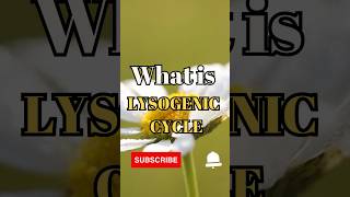 What is Lysogenic Cycle shorts facts biology [upl. by Ennovehs910]