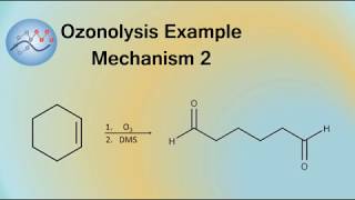 Ozonolysis Example Mechanism 2  Organic Chemistry [upl. by Kisung]