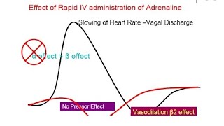 VASOMOTOR REVERSAL OF DALE Easy and Precise Explanation 👍 [upl. by Caz52]