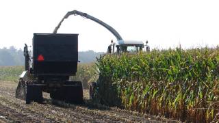 Maïs hakselen voor gevorderden HD Trekkerweb harvest corn [upl. by Maharg761]