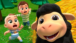 Baa Baa Black Sheep Song  Almama Nursery Rhymes amp Kids Songs [upl. by Egwan430]