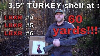 Winchester Long Beard XR at 60 YARDS  Turkey Pattern Test  All THREE shot sizes tested [upl. by Tepper]