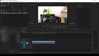 Videos se ven mal al importar en Premiere Pro [upl. by Eusebio]