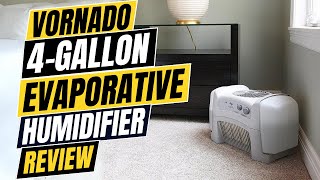 Vornado Evap40 4Gallon Evaporative Humidifier Review Pros amp Cons Explained [upl. by Eidaj854]