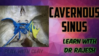 cavernous sinus anatomy [upl. by Clardy]