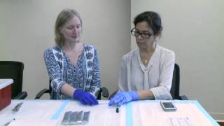 How to Use the Alere Filariasis Test Strip FTSEnglish 04 [upl. by Arrik]