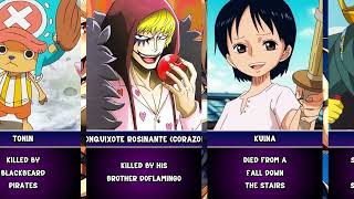 Cause of Death One Piece Characters [upl. by Asi124]