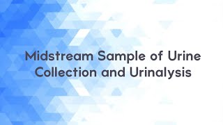 Midstream Sample of Urine Collection and Urinalysis [upl. by Nauht787]