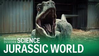 5 Science Facts Jurassic World Totally Ignored [upl. by Noid142]