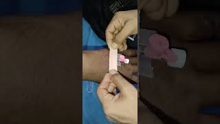 cannula ivcannulation ivinsertion youtubeshort youtubechannel youtuber youtube humanhand [upl. by Jangro]